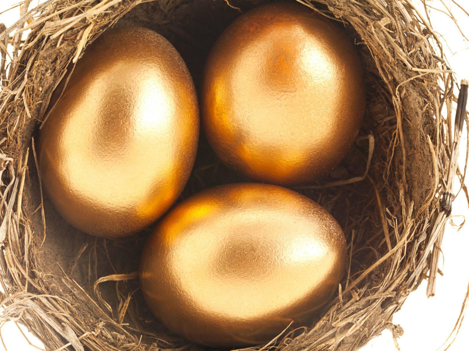 Найдите золотое яйцо. Золотое яйцо. Золотые яйцы. Яйцо куриное золотое. Золотые пасхальные яйца.