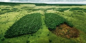 Dünyadaki Problemler