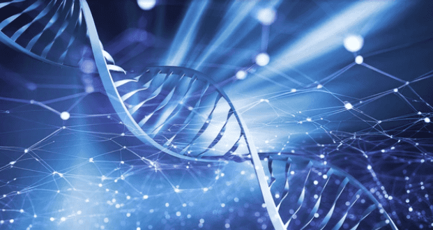 Genetik Mühendisliği: Avantaj mı? Dezavantaj mı? – Beştepe Bloggers