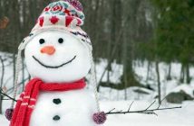 kardan adam yapalım mı?