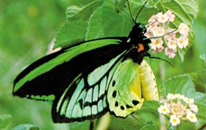 beril-aytac-blog-resim-15