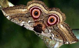 beril-aytac-blog-resim-22