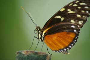 beril-aytac-blog-resim-26