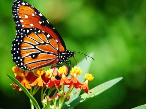 beril-aytac-blog-resim-28