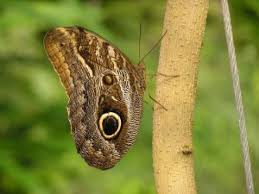 beril-aytac-blog-resim-30