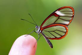 beril-aytac-blog-resim-36