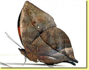 beril-aytac-blog-resim-38