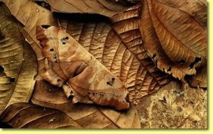 beril-aytac-blog-resim-39