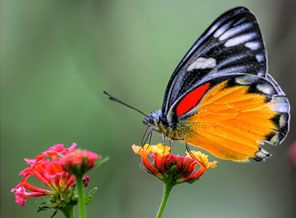 beril-aytac-blog-resim-4