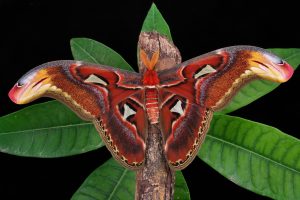 beril-aytac-blog-resim-43