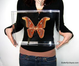 beril-aytac-blog-resim-47