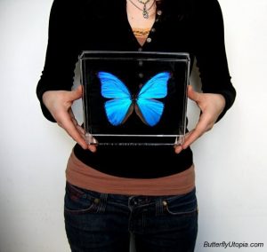 beril-aytac-blog-resim-48