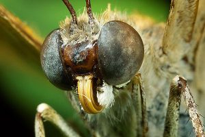 beril-aytac-blog-resim-50