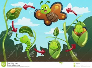 beril-aytac-blog-resim-61