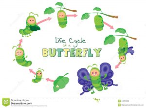 beril-aytac-blog-resim-62