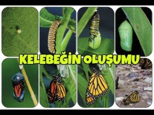 beril-aytac-blog-resim-66