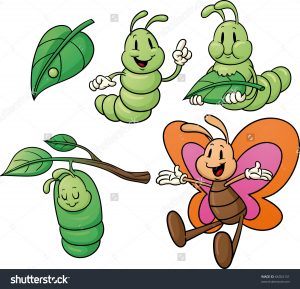 beril-aytac-blog-resim-73