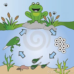 beril-aytac-blog-resim-81