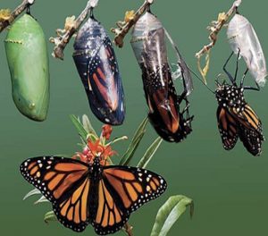 beril-aytac-blog-resim-87