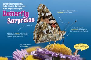 beril-aytac-blog-resim-89