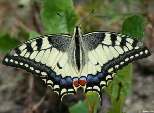 beril-aytac-blog-resim-94