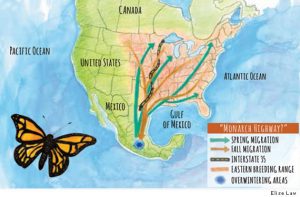 beril-aytac-blog-resim-97