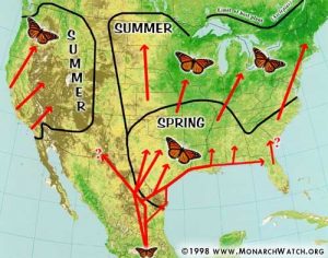 beril-aytac-blog-resim-99