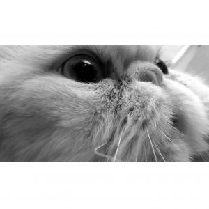 Instasize_0925125642