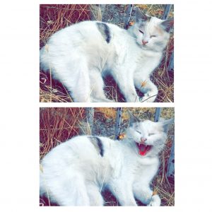 Instasize_1012205629