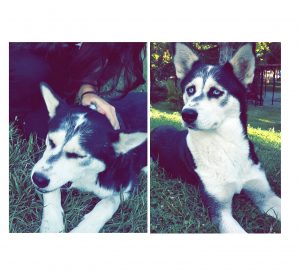 Instasize_1012210004-1