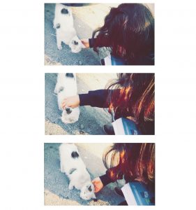 Instasize_1012210440-1