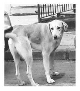 Instasize_1012210620-1