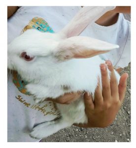 Instasize_1012210749-1