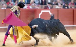 boga-guresi-f8d31c49-ammci