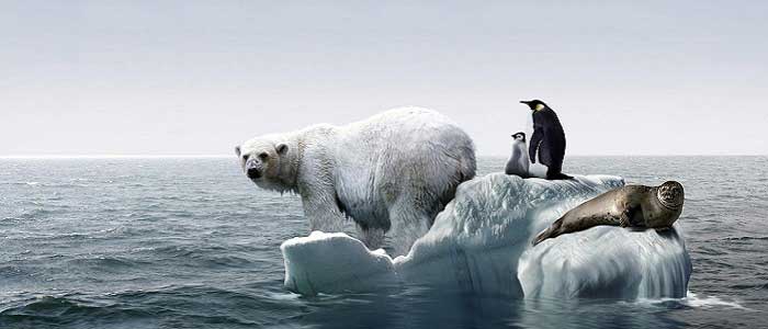 İklim Değişikliğinin Hayatımızda Sebep Olduğu Negatif Etkiler