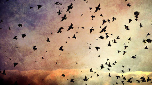 tumblr_static_tumblr_static_7a48e9rxmccgko8g04wcwo4gk_640