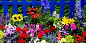 yaz-cicekleri-1111-660x330